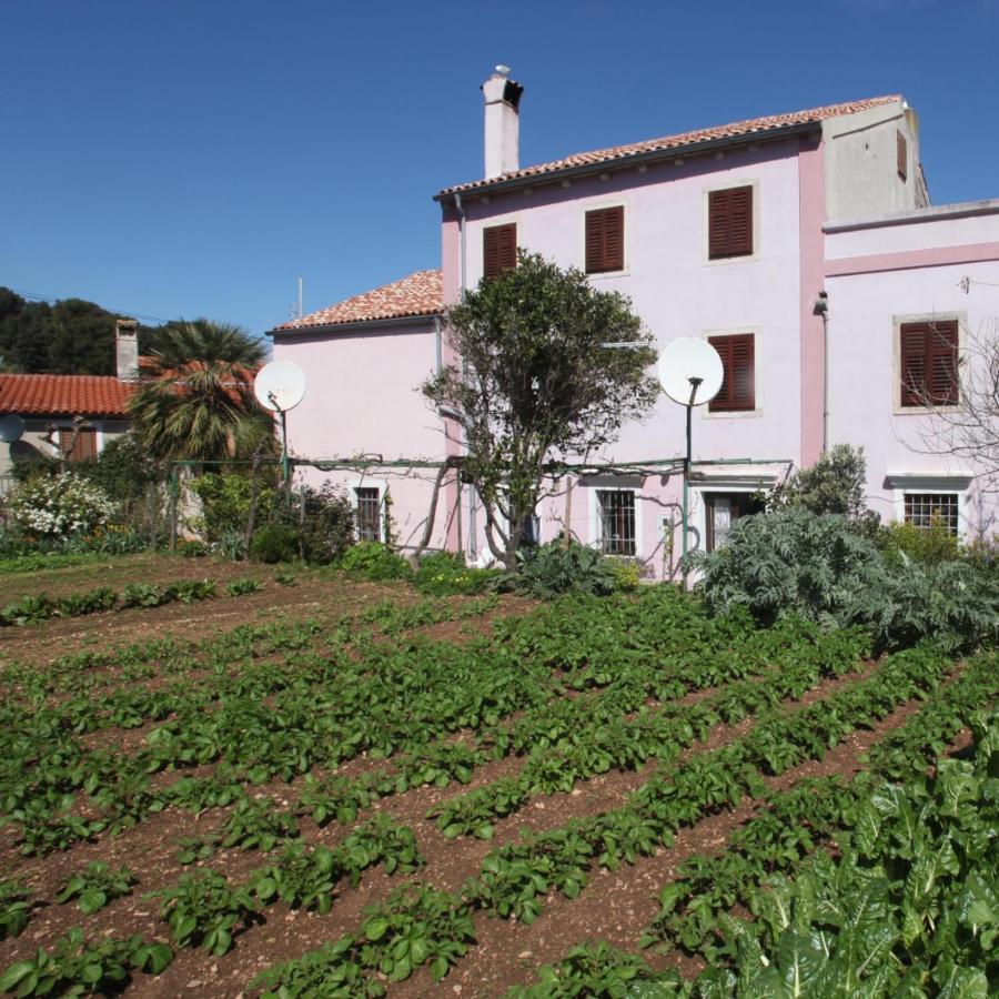 Apartments Anita Veli Lošinj Eksteriør billede